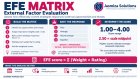 Beyond the Score: Using the EFE Matrix for Better Strategic Decisions